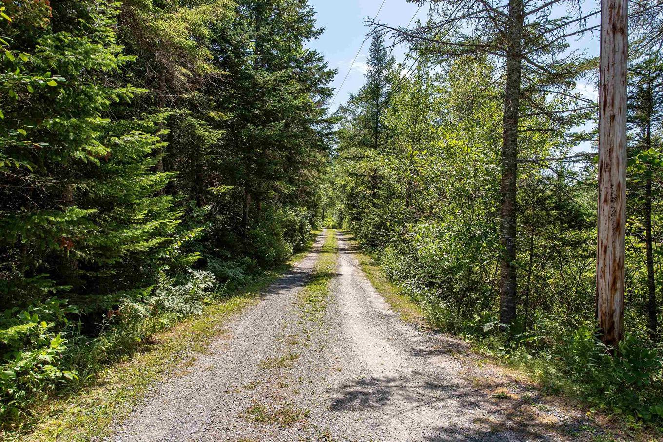 617 Highway 277, Dutch Settlement, NS