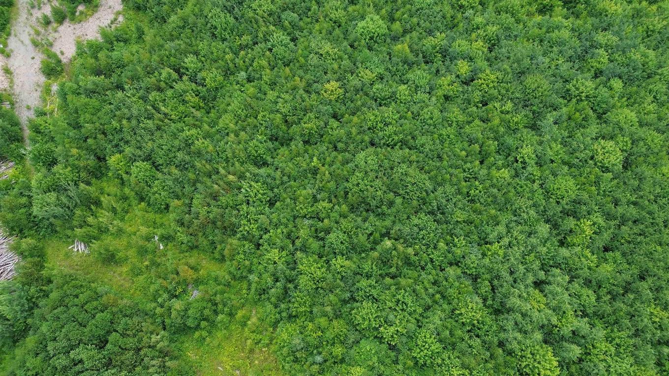 Lot 8 Peck Meadow Road, Greenfield, NS