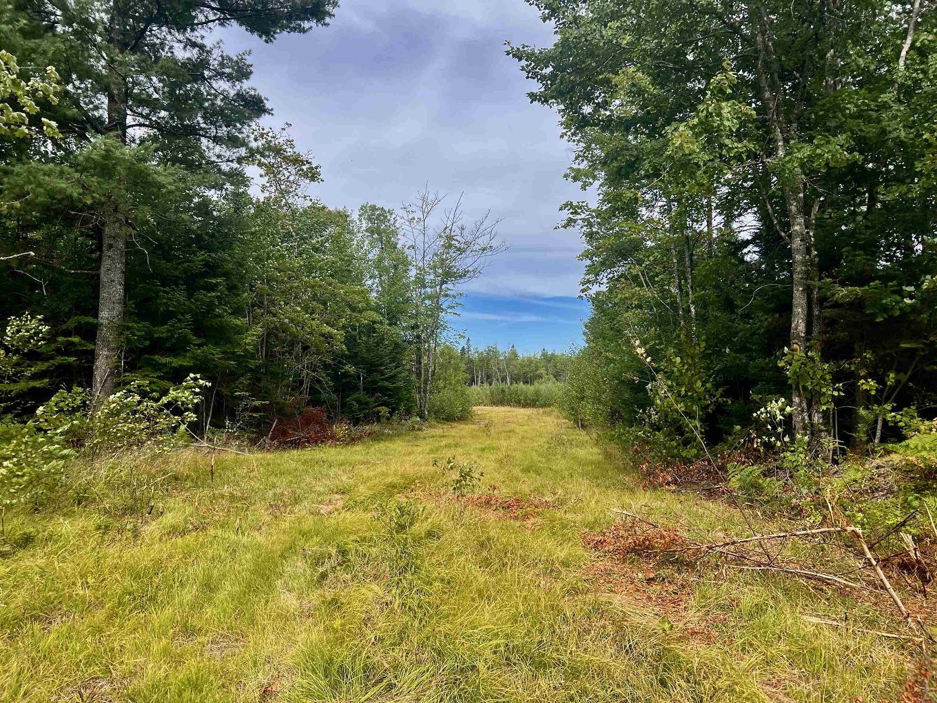 Lot 9 Peck Meadow Road, Greenfield, NS