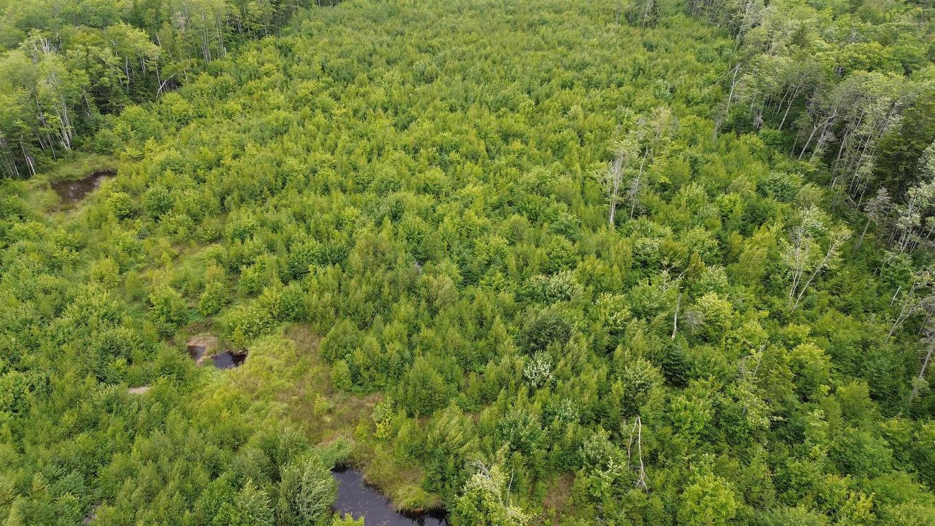 Lot 10 Peck Meadow Road, Greenfield, NS