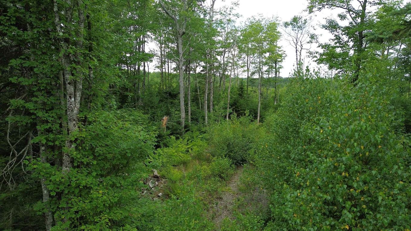 Lot 10 Peck Meadow Road, Greenfield, NS