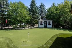 Astro turf putting green easy maintenance -