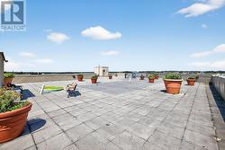 Roof Top Deck -