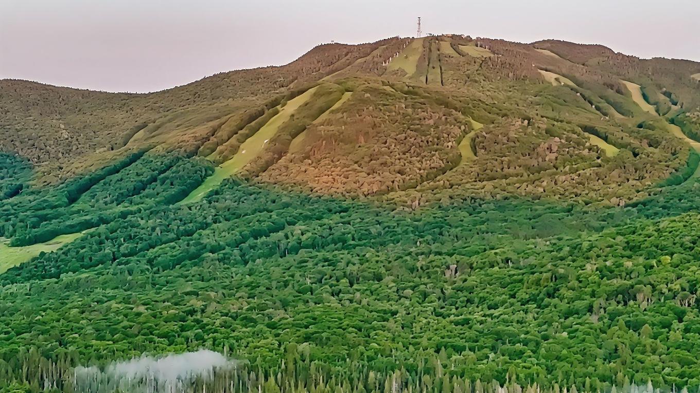 Overall view - 85 Ch. De La Paroi-Rocheuse, Lac-Supérieur, QC - Outdoor With View