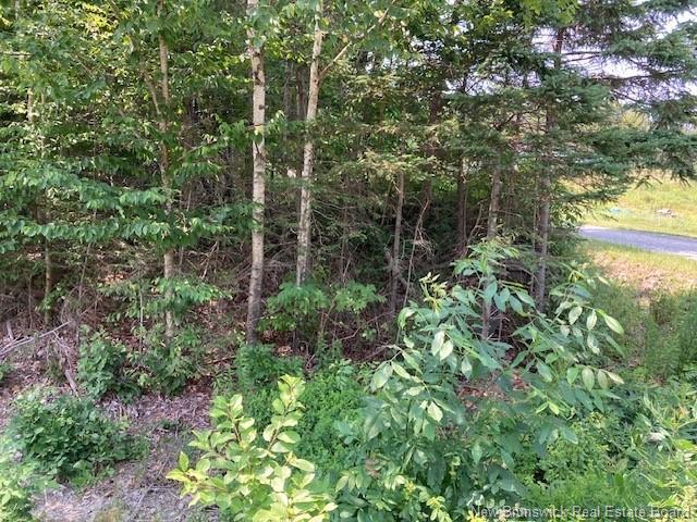 0 Frye Rd, Chamcook, NB