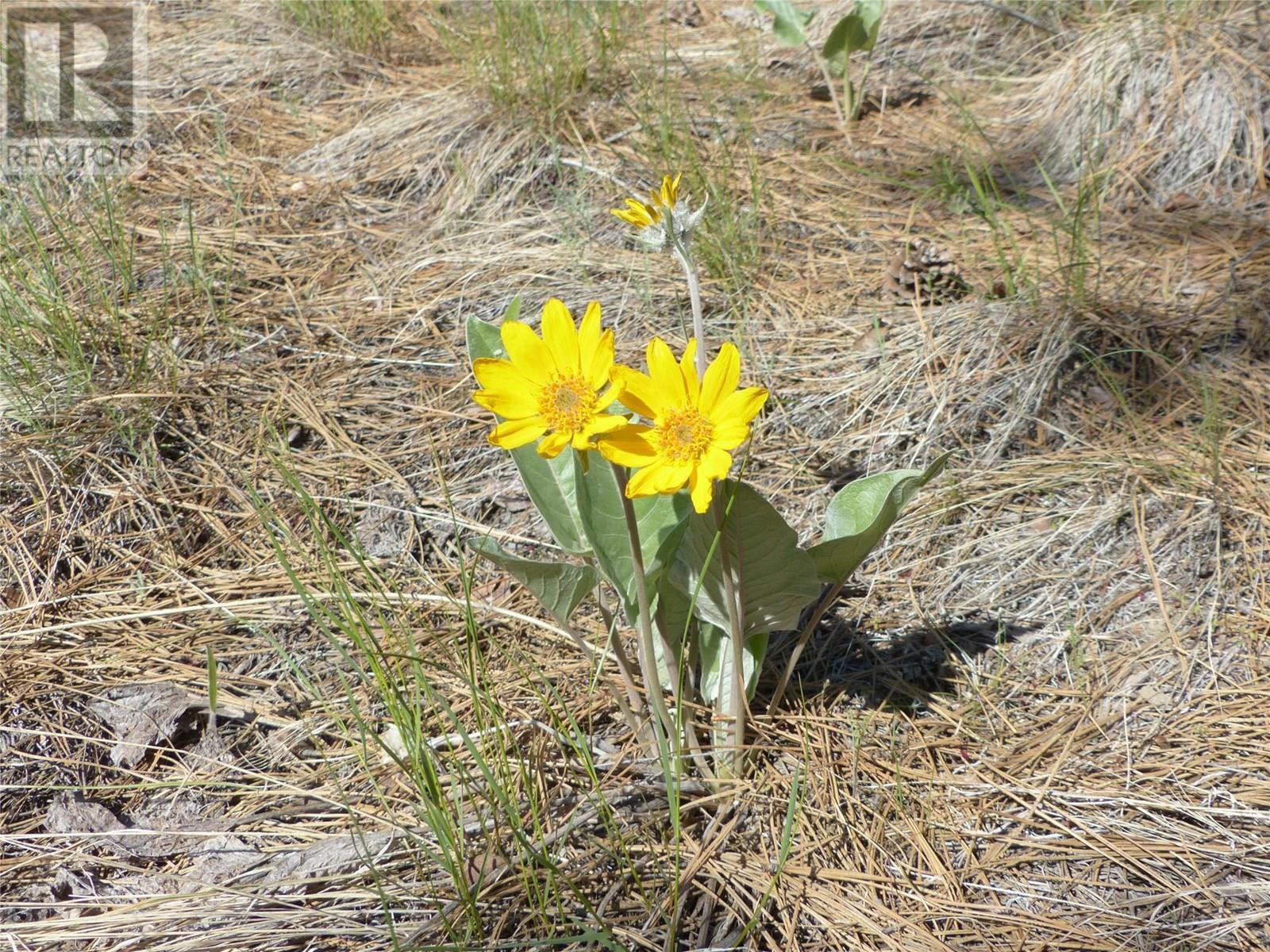 8900 Gilman Road, Summerland, BC