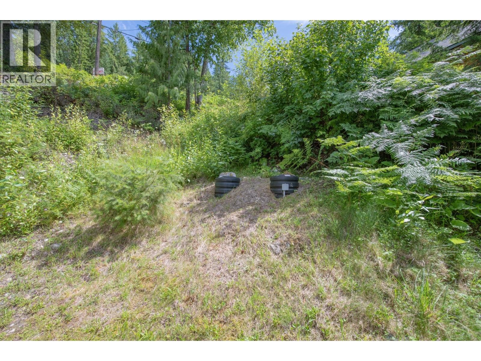 1710 6 Highway, Nakusp, BC - Outdoor