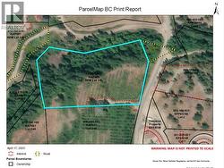 Parcel Map with easement for driveway -