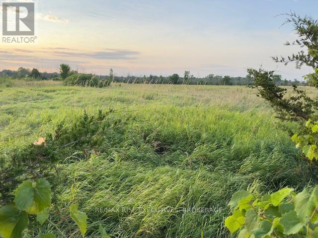 3878 County Rd 8, Greater Napanee (Greater Napanee), ON