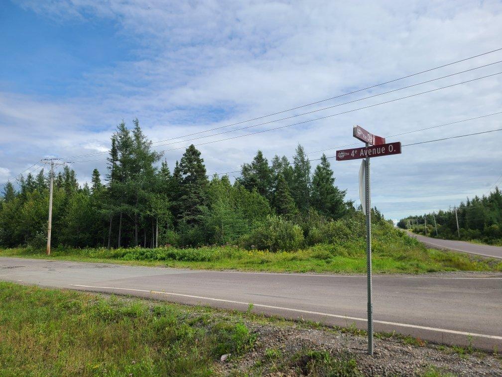 Land/Lot - 4E Avenue O., Paspébiac, QC
