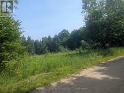 P4 COMERFORD ROAD Brudenell, Lyndoch And Raglan, ON K9J 2E0