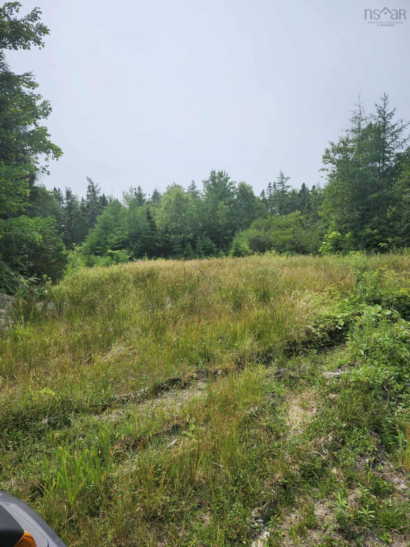 - Alder Road, Dutch Brook, NS