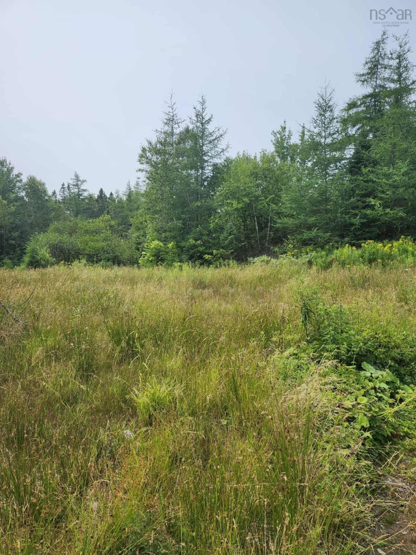 - Alder Road, Dutch Brook, NS