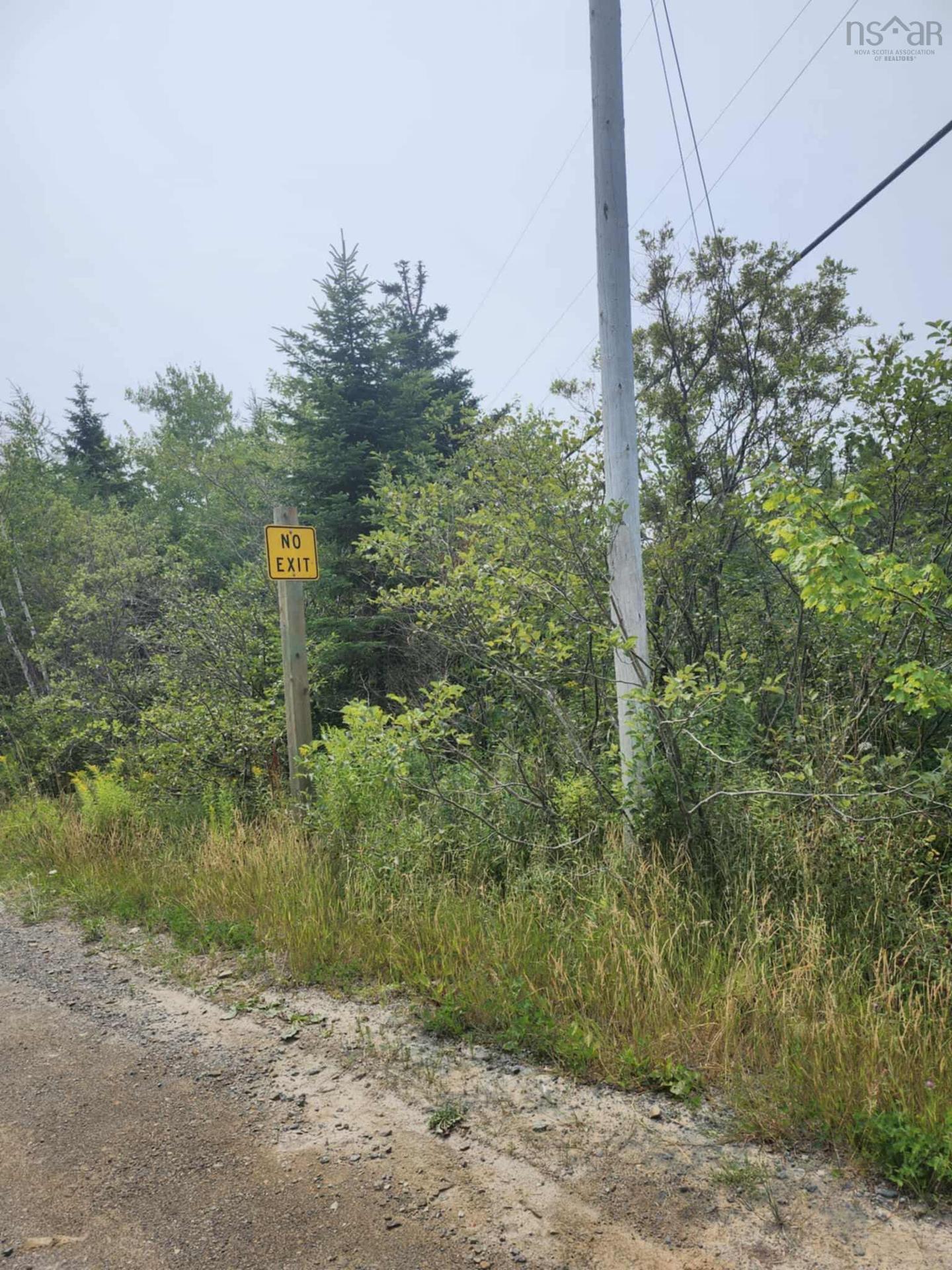 - Alder Road, Dutch Brook, NS