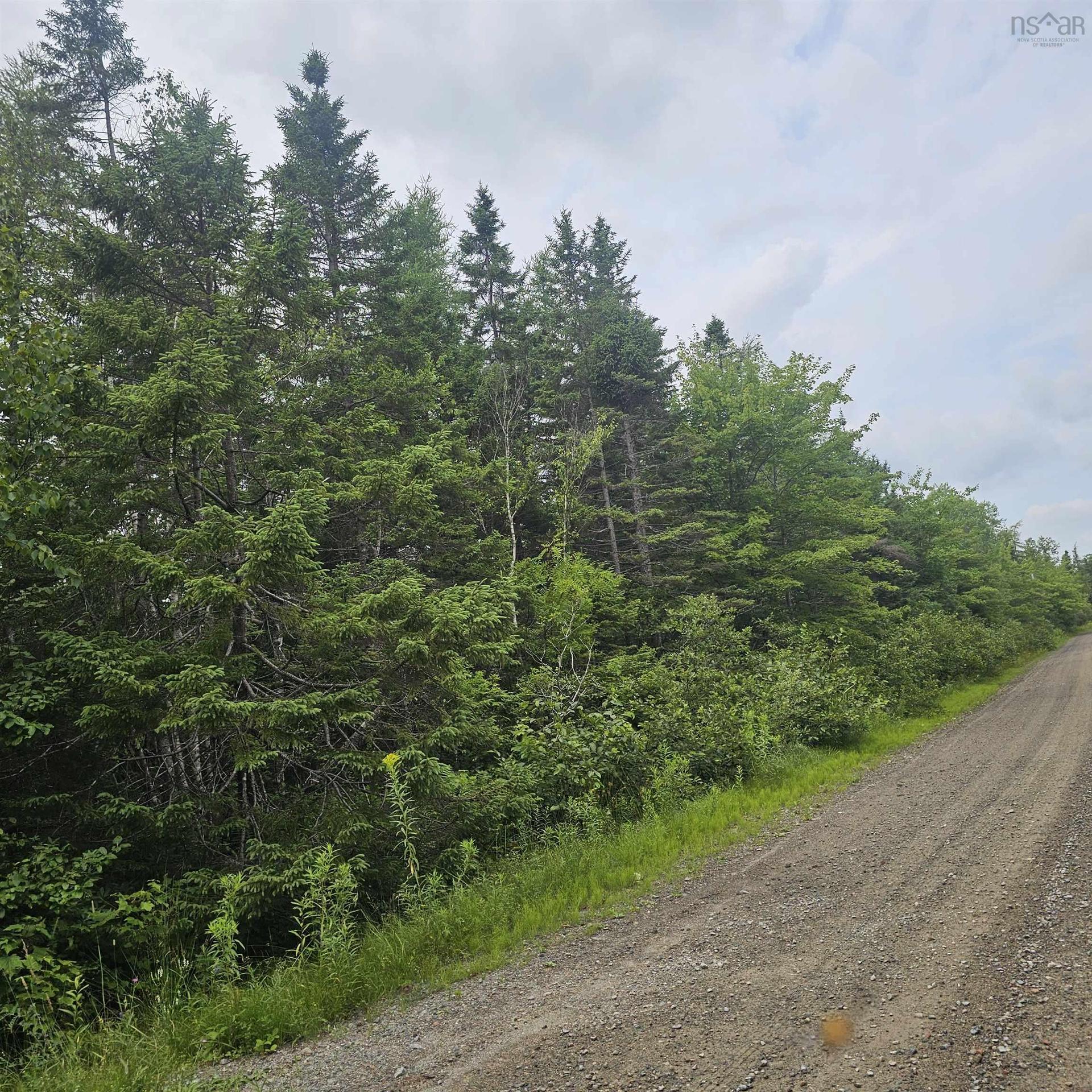 - Alder Road, Dutch Brook, NS