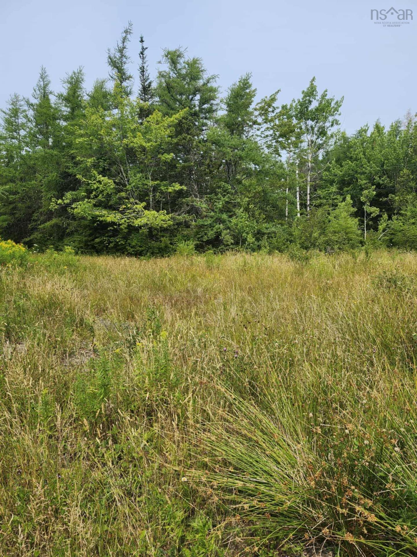 - Alder Road, Dutch Brook, NS