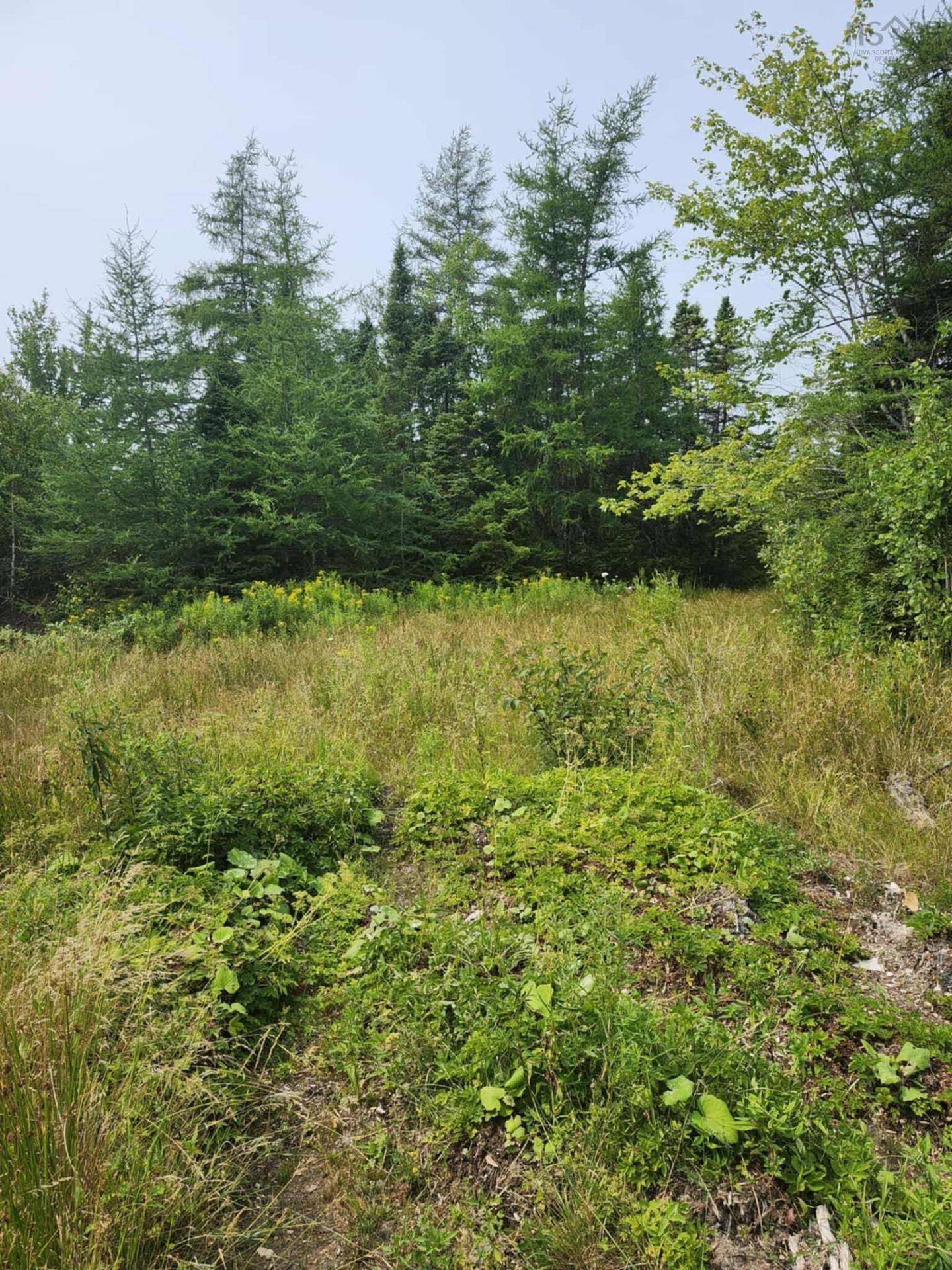 - Alder Road, Dutch Brook, NS