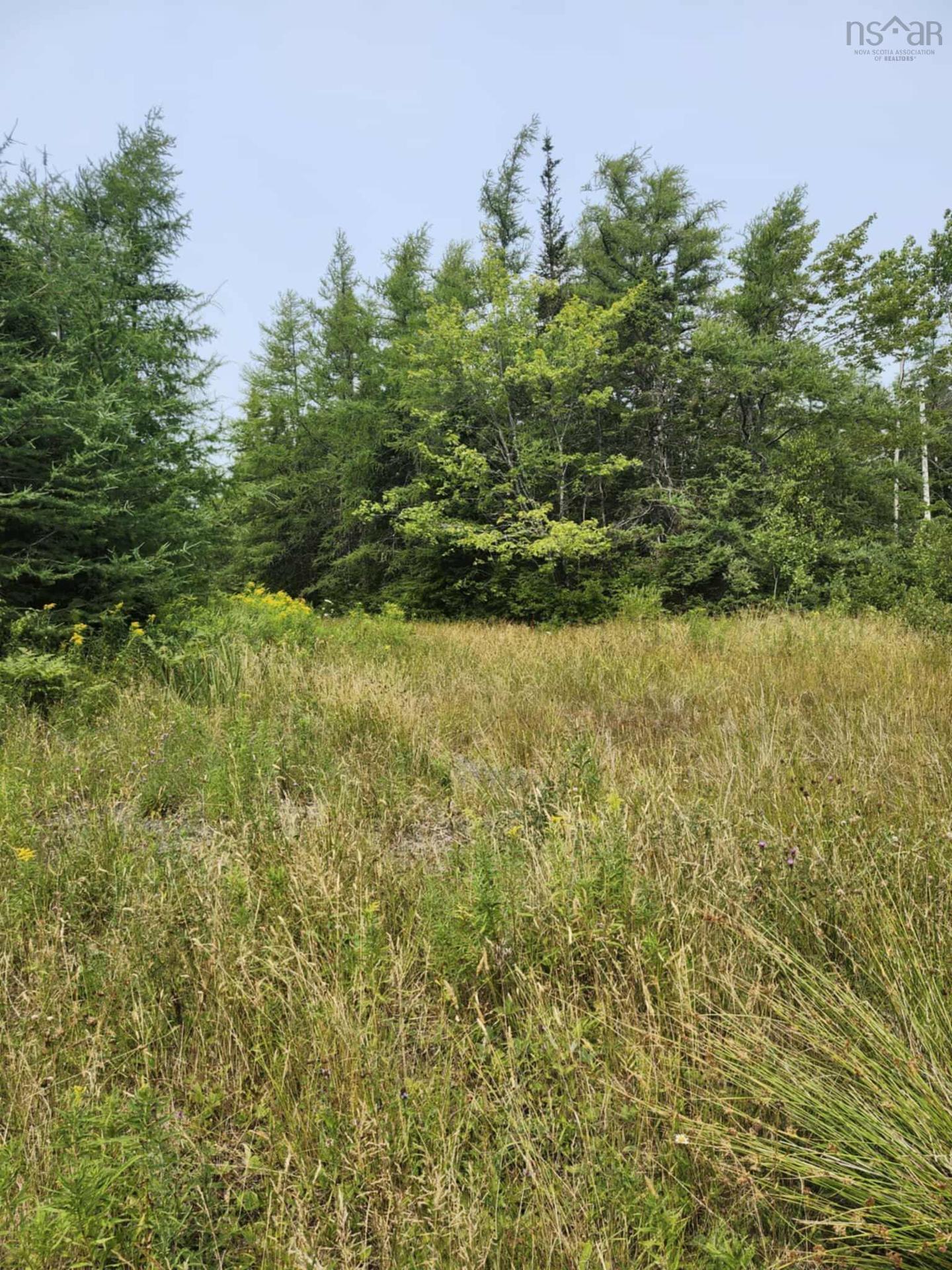 - Alder Road, Dutch Brook, NS