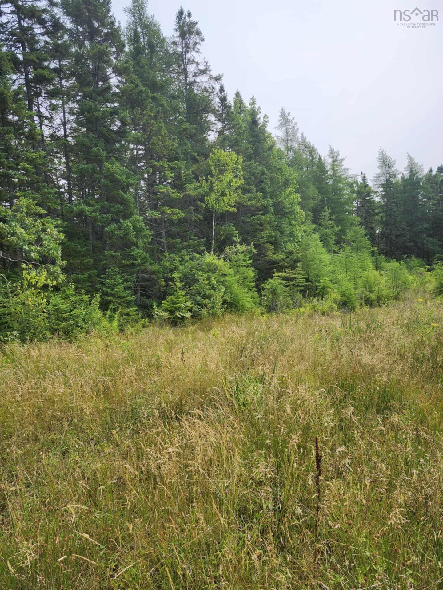 - Alder Road, Dutch Brook, NS