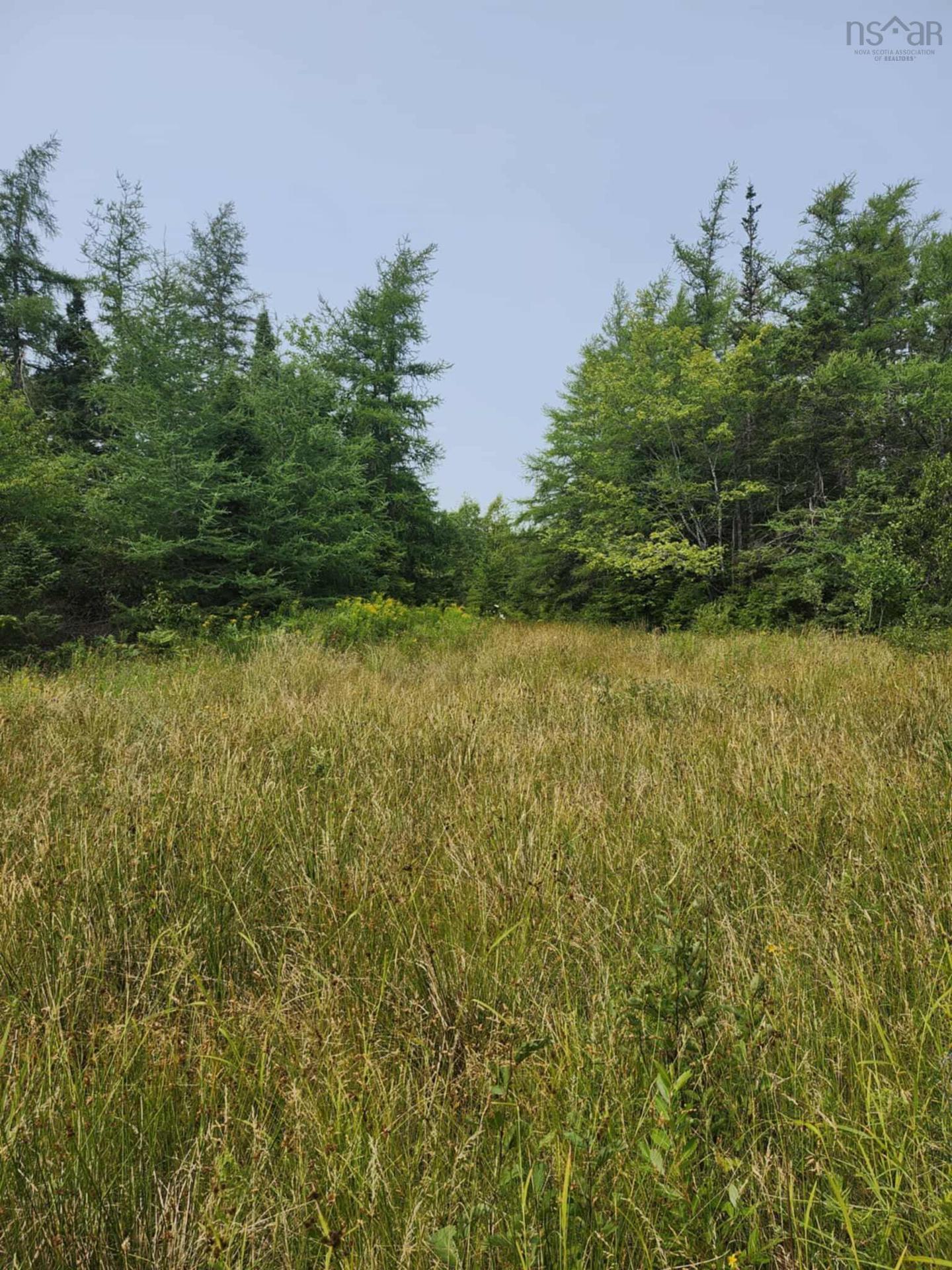 - Alder Road, Dutch Brook, NS