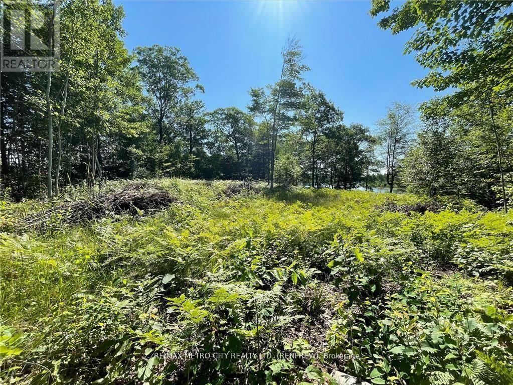 00 Olmstead-Jeffrey Lake Road, Whitewater Region, ON