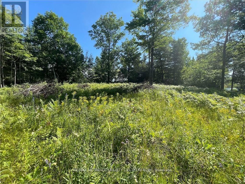 00 Olmstead-Jeffrey Lake Road, Whitewater Region, ON