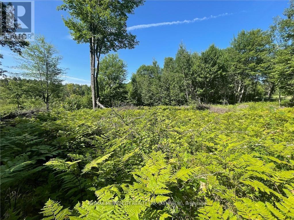 00 Olmstead-Jeffrey Lake Road, Whitewater Region, ON