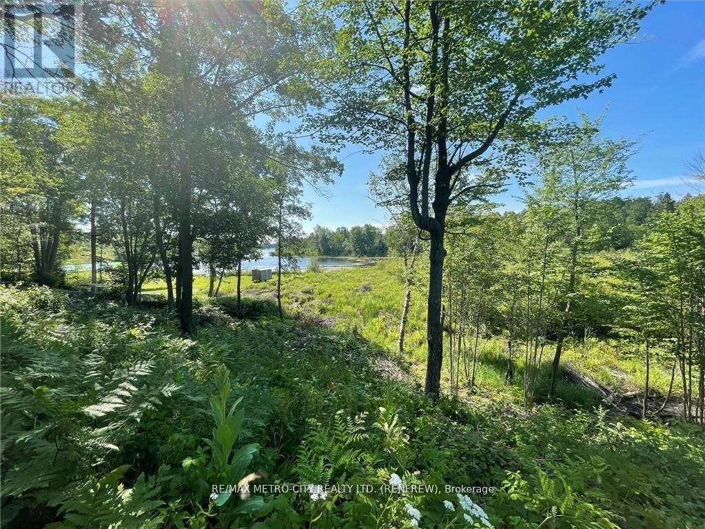 00 Olmstead-Jeffrey Lake Road, Whitewater Region, ON