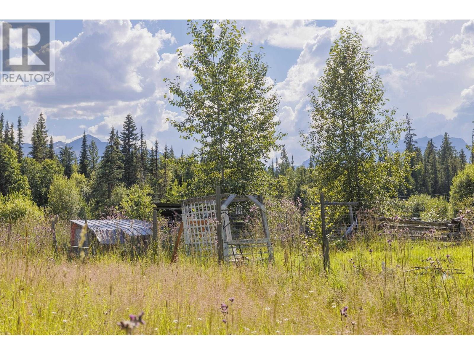 8189 Loos Road, Mcbride, BC - Outdoor With View
