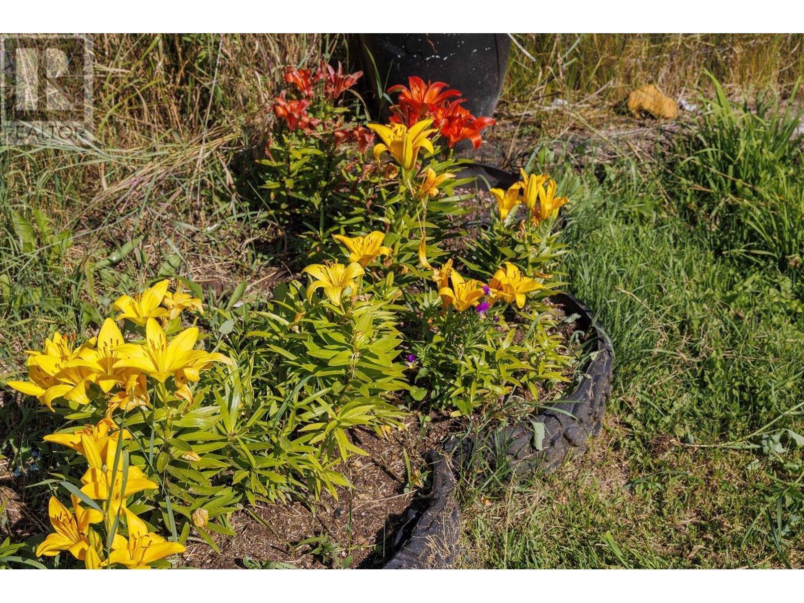 8189 Loos Road, Mcbride, BC - Outdoor