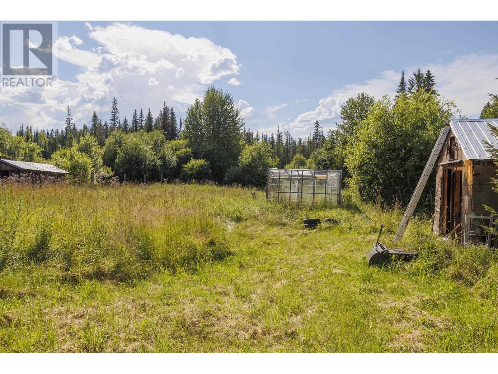8189 Loos Road, Mcbride, BC - Outdoor With View