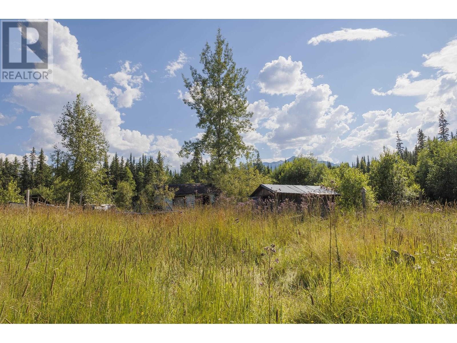 8189 Loos Road, Mcbride, BC - Outdoor With View