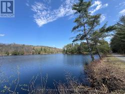 View of lake from Rosepoint trail -
