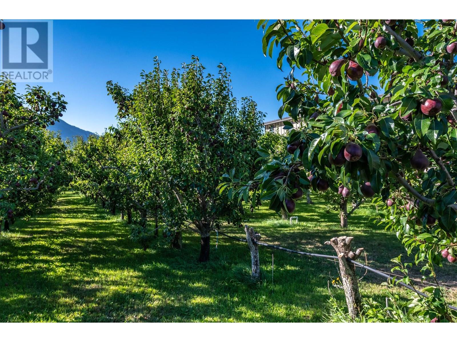 725 Mackenzie Road, Cawston, BC