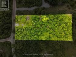 85 WHITE LAKE ROAD S Frontenac (Frontenac Centre), ON K0H 1T0