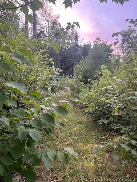 1359 Route 365, Gauvreau, NB