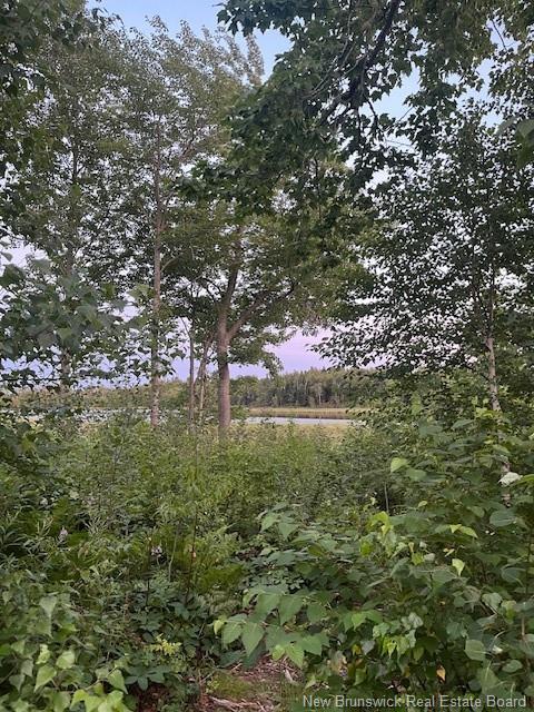 1359 Route 365, Gauvreau, NB