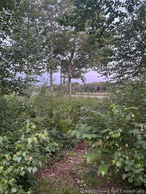 1359 Route 365, Gauvreau, NB