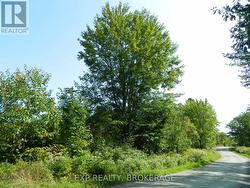 CON 5 N PT LOT 12 LOT 13 ECHO LAKE ROAD Frontenac (Frontenac Centre), ON K0H 1T0