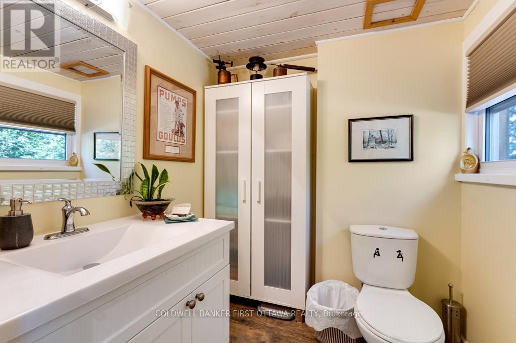 1169 Mosque Lake Road, Frontenac (Frontenac North), ON - Indoor Photo Showing Bathroom