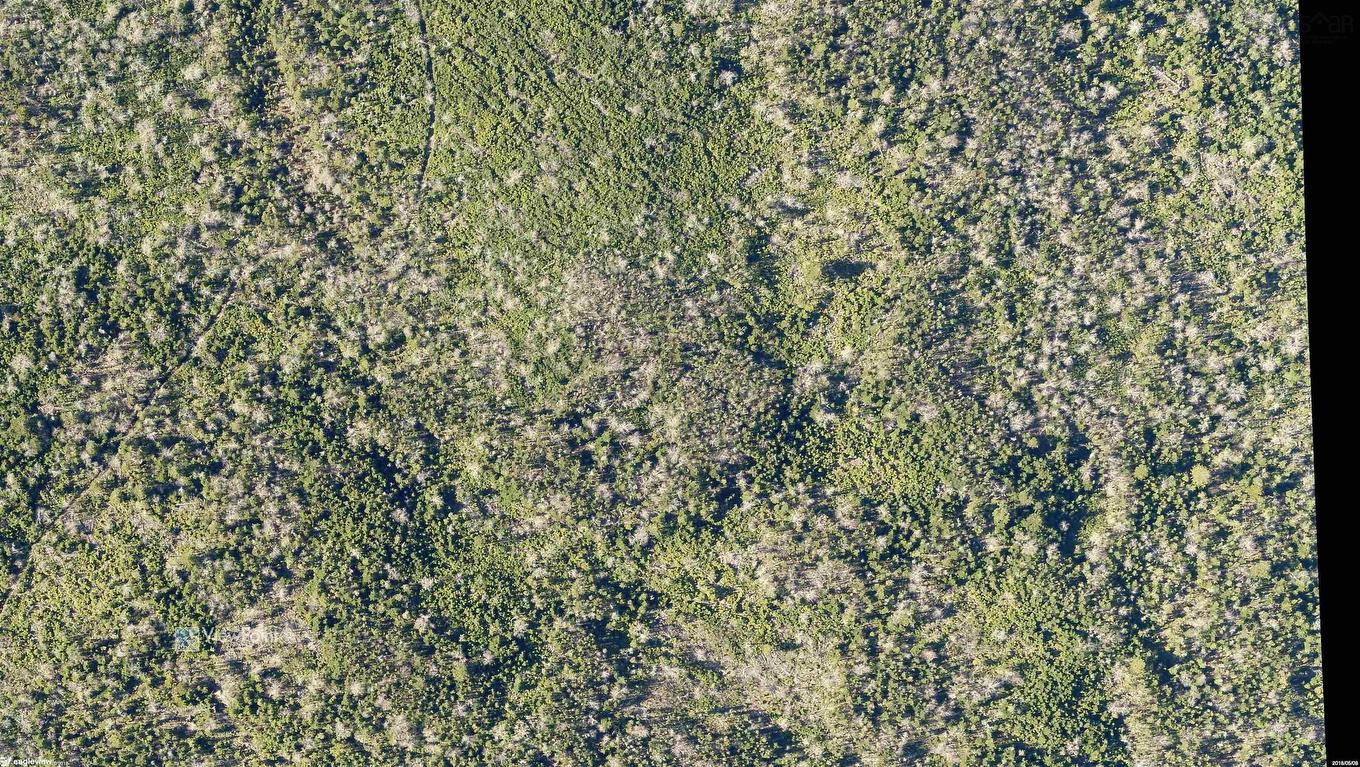 23339 Bennet Lake, Harrietsfield, NS