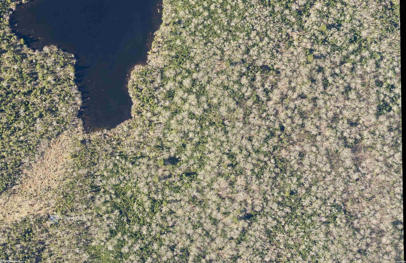 23339 Bennet Lake, Harrietsfield, NS