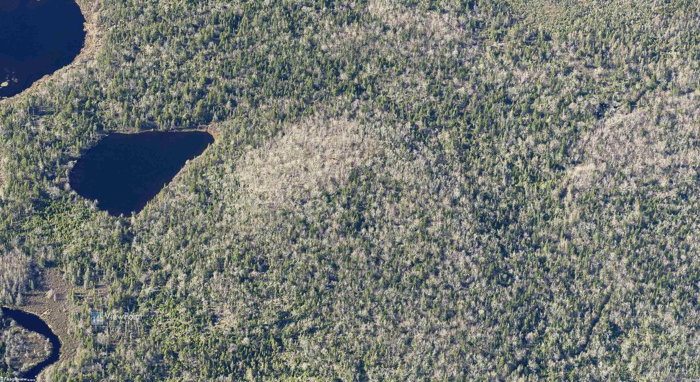 23339 Bennet Lake, Harrietsfield, NS