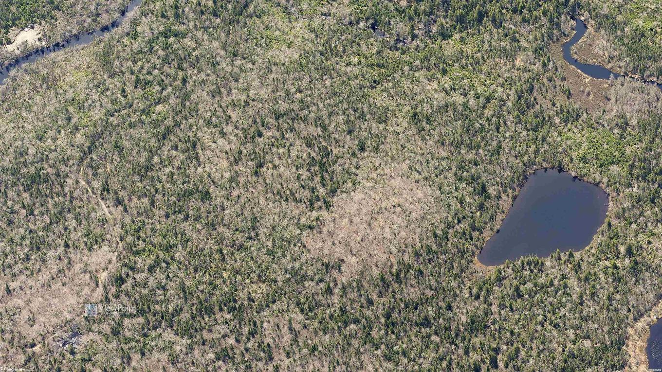 23339 Bennet Lake, Harrietsfield, NS