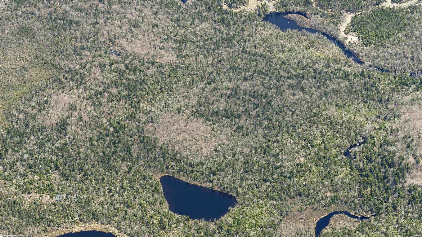 23339 Bennet Lake, Harrietsfield, NS