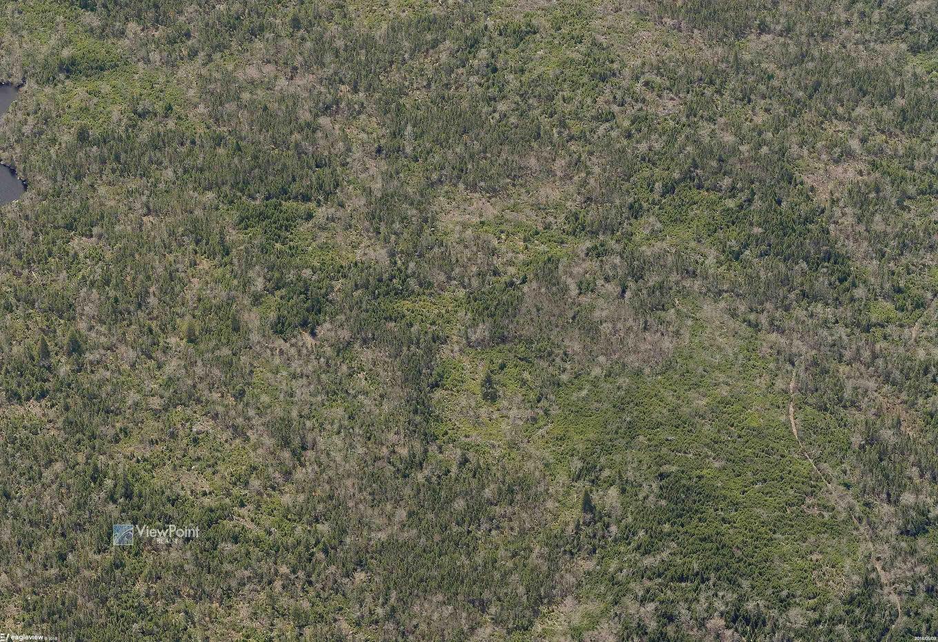 23339 Bennet Lake, Harrietsfield, NS