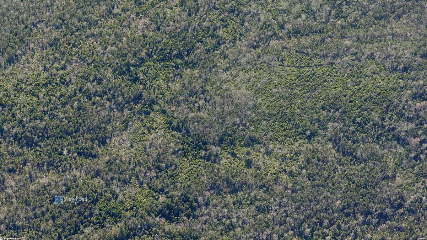 23339 Bennet Lake, Harrietsfield, NS