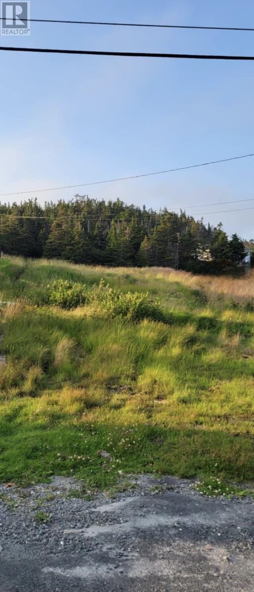 48 Old Settlement Hill, Freshwater Placentia, NL