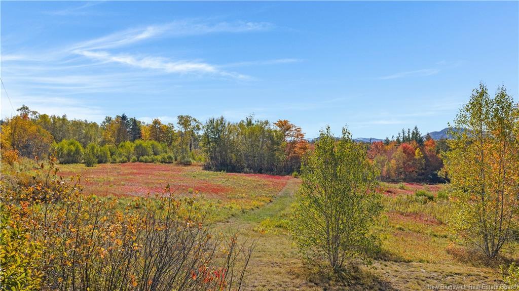 Digdeguash River Lot 760 Rte, Johnson Settlement, NB