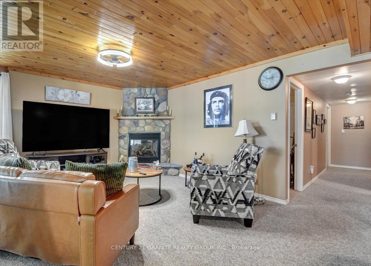 183 Fell Road, Hastings Highlands (Herschel Ward), ON - Indoor Photo Showing Living Room With Fireplace